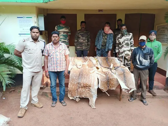 କପିଳାସ ବନାଞ୍ଚଳରୁ ୪ଶିକାରୀ ଓ ୫ହରିଣ ଛାଲ ଜବତ