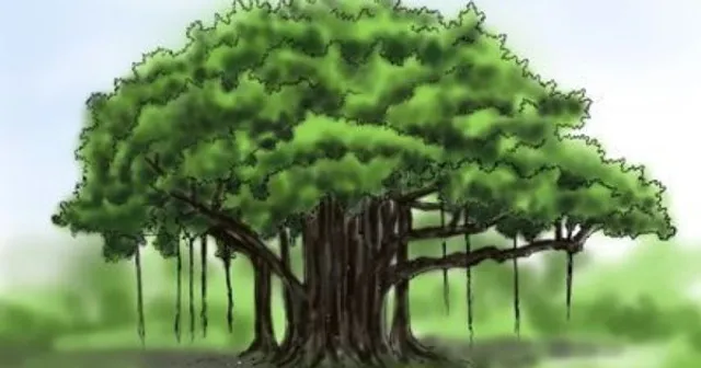 ଶୁଦ୍ଧ ଅମ୍ଳଜାନ ଆହରଣ ଶରୀର ପାଇଁ ଗୁରୁତ୍ବପୂର୍ଣ୍ଣ, ଦିନକୁ ୧୧ ହଜାର ଲିଟର ଅମ୍ଳଜାନ ଆବଶ୍ୟକ