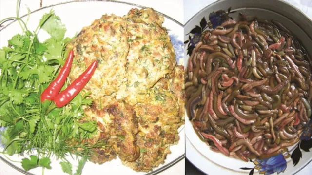 କୃମି ପ୍ରସ୍ତୁତ ଖାଦ୍ୟ!