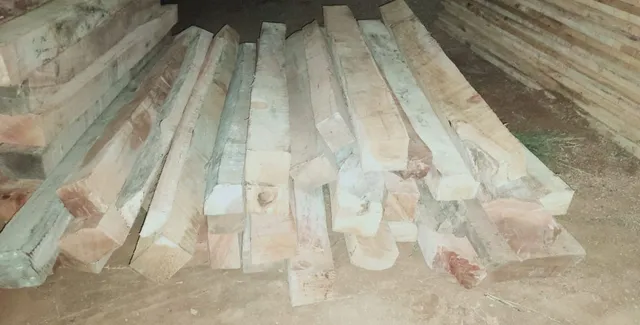 ନୂଆପଡ଼ା ବନବିଭାଗ ପକ୍ଷରୁ କାଠ ବେପାରୀ ଘରେ ଚଢ଼ାଉ, ଲକ୍ଷାଧିକ ଟଙ୍କାର କାଠ ଜବତ, ଜଣେ ଗିରଫ