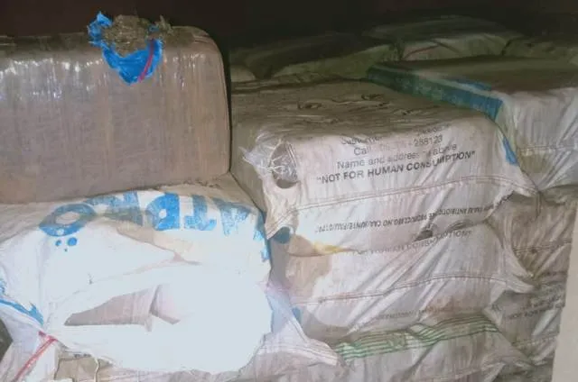 କୋରାପୁଟ ଜିଲ୍ଲାର ମାଛକୁଣ୍ଡ ଓ ପାଡୁଆ ଥାନା ଅଞ୍ଚଳରୁ ବିପୁଳ ପରିମାଣର ଗଂଜେଇ ଜବତ