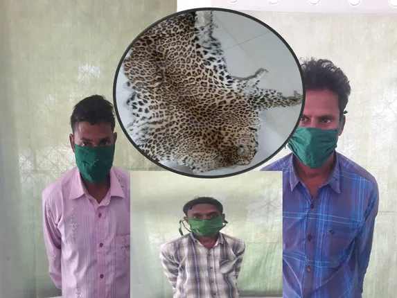 ବାଘଛାଲ ଜବତ: ୩ ଗିରଫ