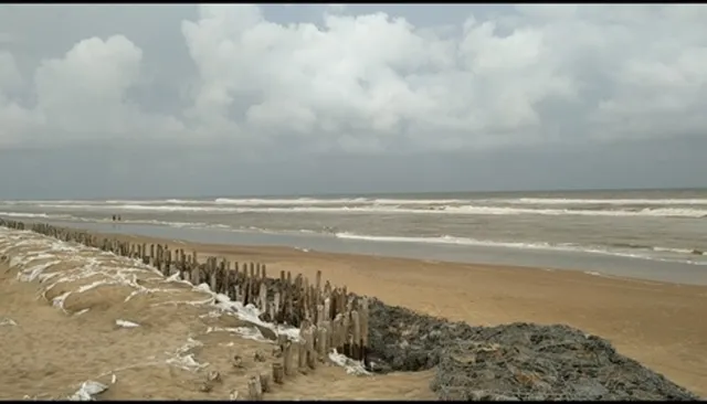 ଶିଆଳି ବେଳାଭୂମିକୁ ଅଣଦେଖା, ଅବ୍ୟବସ୍ଥା ସତ୍ବେ ପର୍ଯ୍ୟଟକଙ୍କ ଜମୁଛି ଭିଡ଼