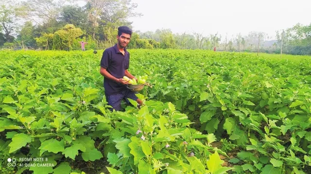 କରୋନା କାହାଣୀ: ଛାତ୍ର ପାଲଟିଗଲେ ଚାଷୀ