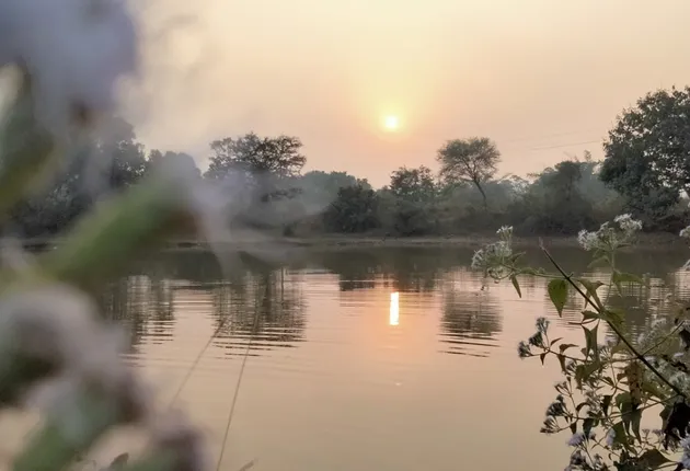 ୨୦୨୦ର ଅନ୍ତିମ ଦିନରେ ଅସ୍ତଗାମୀ ସୂର୍ଯ୍ୟର ଝଲକ। (ଫଟୋ: ପ୍ରଭାତ, ବନ୍ତଳା, ଅନୁଗୁଳ)