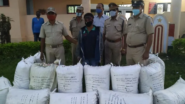 କ୍ରାଇମବ୍ରାଞ୍ଚ ଭୁବନେଶ୍ୱର ଟିମ ପକ୍ଷରୁ ଗୁଣପୁରରେ ଚଢ଼ାଉ, ୩୦୨ କେଜି ଗଞ୍ଜେଇ ଜବତ