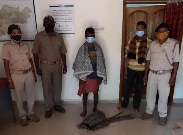 ରାତ୍ରିକାଳୀନ ମାଙ୍କଡ଼ ଶିକାର: ୧୧ କିଲୋ ମାଂସ ନେଇ ଘରକୁ ଆସୁଥିଲା ଶିକାରୀ, ଗିରଫ କଲା ବନ ବିଭାଗ