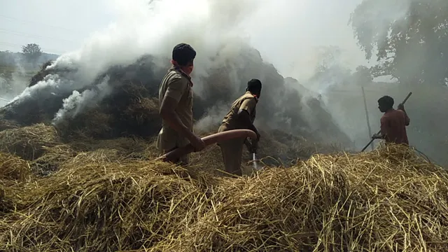 ଚାହୁଁ ଚାହୁଁ ଜଳିଗଲା ଧାନଗଦା, ଚିନ୍ତାରେ ଭାଙ୍ଗିପଡ଼ିଲେ ଚାଷୀ