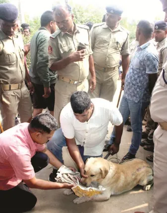 ରହସ୍ୟ ହୋଇ ରହିଗଲା ବେଲେଶ୍ବର ହତ୍ୟାକାଣ୍ତ; ହତ୍ୟାକାରୀ ଧରିବା ତ ଦୂରର କଥା, ହତ୍ୟାର କାରଣ ବି ଜଣାପଡ଼ିଲାନି