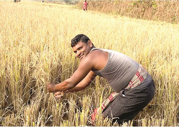 କରୋନା କାରୁଣ୍ୟରେ ଅନ୍ୟଙ୍କ ପାଇଁ ପ୍ରେରଣା: ରେଭେନ୍ସା ଛାତ୍ରଙ୍କ ଧାନକଟା