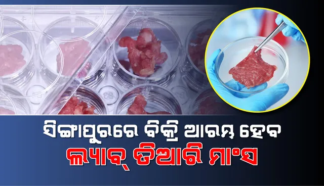 ବିଶ୍ୱରେ ପ୍ରଥମ ଥର ଲାଗି ପରୀକ୍ଷାଗାରରେ ତିଆରି ମାଂସ ବିକ୍ରୟ ଲାଗି ଅନୁମତି ଦେଲା ସିଙ୍ଗାପୁର