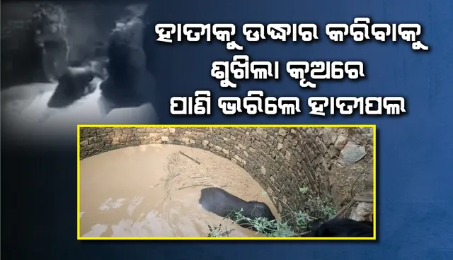 ଶୁଖିଲା କୂଅରେ ଖସିପଡ଼ିଥିବା ହାତୀକୁ ଉଦ୍ଧାର କରିବାକୁ ପାଖ ପୋଖରୀରୁ ପାଣି ଆଣି ଭରିଲେ ହାତୀପଲ
