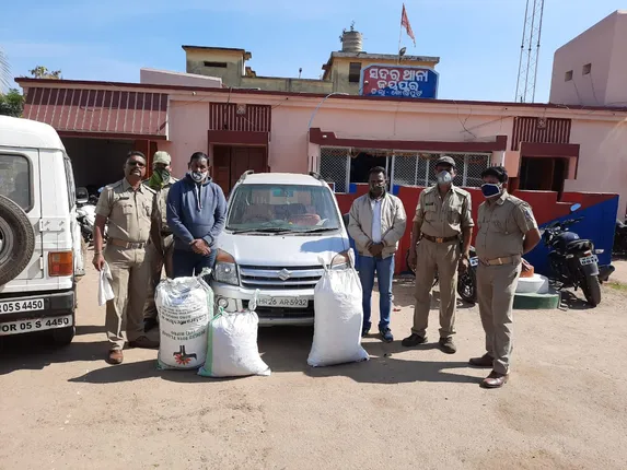 ଜୟପୁର : ୫୬ କେଜି ଗଞ୍ଜେଇ ଜବତ,୨ ଗିରଫ