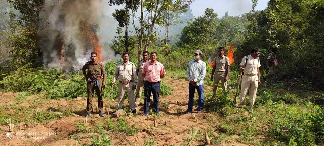 ରାୟଗଡାରେ ଚାଲିଛି 'ଅପରେସନ୍ ଗ୍ରୀନ୍ ଡାଇମଣ୍ଡ'