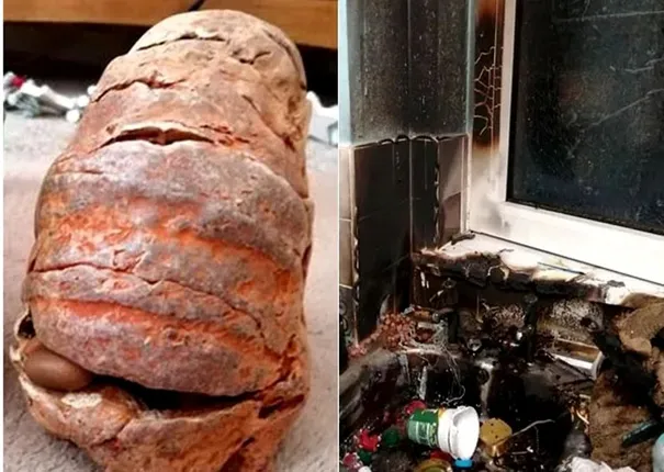 ସମୁଦ୍ର କୂଳରୁ ମା’ ଓ ଝିଅ ପଥର ଭାବି ଆଣିଥିଲେ ଏକ ଅଦ୍ଭୁତ ଜିନିଷ; ଘରେ ହେଲା ବିସ୍ଫୋରଣ