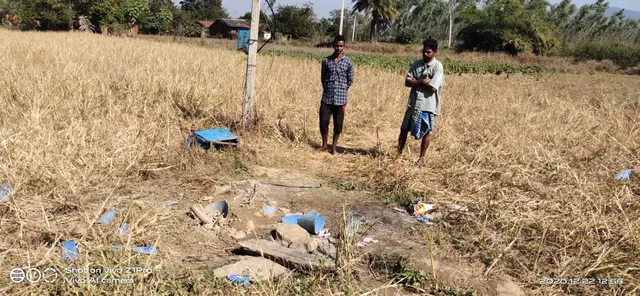 ହାତୀ ଉପଦ୍ରବ: ଘର-ବୋରୱେଲ ଭାଙ୍ଗିଲେ, ଫସଲ ନଷ୍ଟ କଲେ 