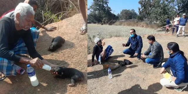 ମାଆ ଭାଲୁର ଅନୁପସ୍ଥିତିରେ ଦୁଇ ଭାଲୁ ଛୁଆଙ୍କ ଯତ୍ନ ନେଇ ଚର୍ଚ୍ଚା ପାଲଟିଲେ ଛତିଶଗଡ଼ର ଗ୍ରାମବାସୀ