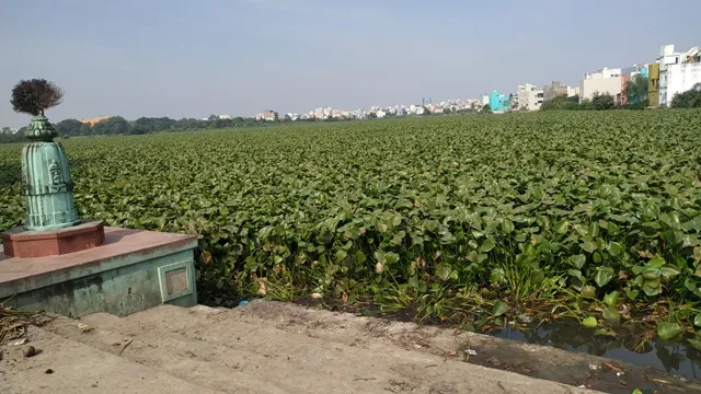 ବ୍ରହ୍ମପୁର: ଦଳରେ ପୋତି ହେଲାଣି ବେଡ଼ାବନ୍ଧ ପୋଖରୀ