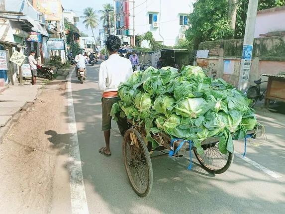 ଏବେ ବେପାରର ବେଳ। (ଫଟୋ: ମନୋଜ ବିଶ୍ୱାଳ, ବାଲେଶ୍ୱର)