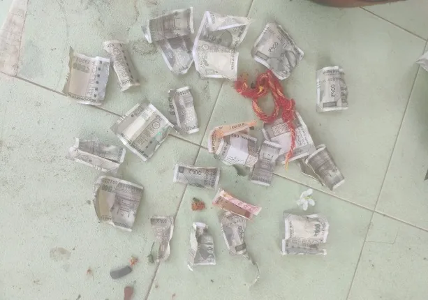 କୁମ୍ପି‌ରେ ସଞ୍ଚିତ ଟଙ୍କାକୁ କାଟିଦେଲା ମୂଷା