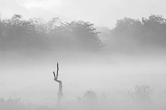 ପଟାଙ୍ଗୀରେ ଘନକୁହୁଡ଼ି ହେତୁ ଦୁର୍ଘଟଣା ଘଟି ଜଣେ ମୃତ, ଅନ୍ୟ ଜଣେ ଗୁରୁତର