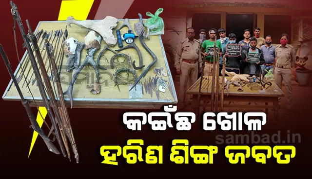 କପିଳାସ ଅଭୟାରଣ୍ୟରେ ବନ୍ୟଜନ୍ତୁ ଶିକାର କରୁଥିଲେ, ଗିରଫ ହେଲେ ୩ ଜଣ