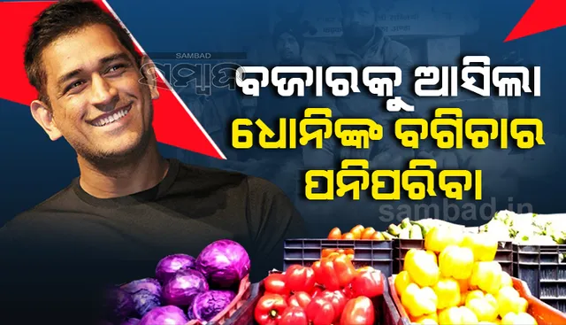 ବଜାରକୁ ଆସିଲା ଧୋନିଙ୍କ ବଗିଚାର ପରିବା: ୧୦ଟଙ୍କାରେ ବିକ୍ରି ହେଉଛି କୋବି