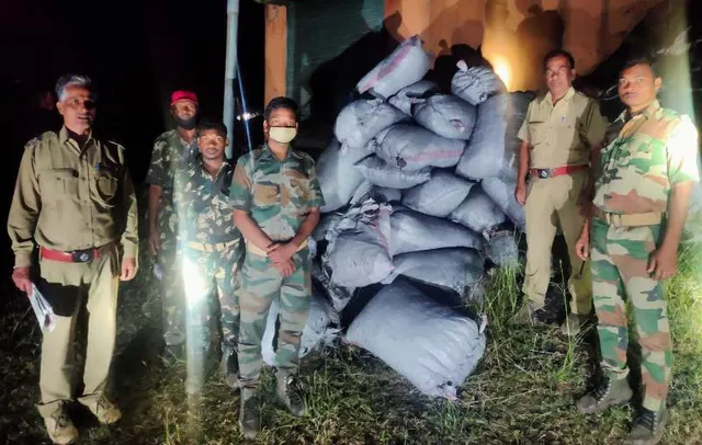 କାଠ କୋଇଲା ପାଇଁ ଜଙ୍ଗଲ ସଫା: ମେଲାଣ ଗ୍ରାମରୁ ୬୦ ବସ୍ତା ଅଙ୍ଗାର ଜବତ