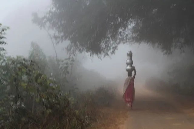 ଓଡ଼ିଶାରେ ଆସନ୍ତା ୨ ଦିନ ଘନ କୁହୁଡ଼ି