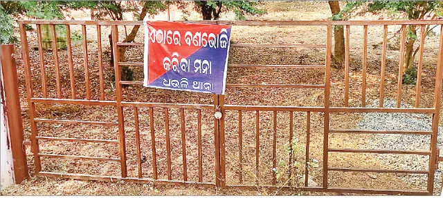 ଧଉଳିରେ ବଡ଼ଦିନ ବଣଭୋଜି ବନ୍ଦ
