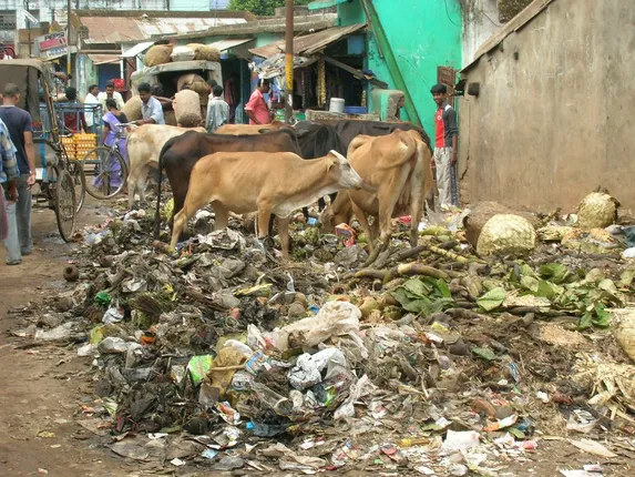 ଜୟପୁରରେ ଫେଲ୍ ମାରିଛି ବର୍ଜବସ୍ତୁ ପରିଚାଳନା: କୁଢ଼ କୁଢ଼ ମଇଳା ଜମା
