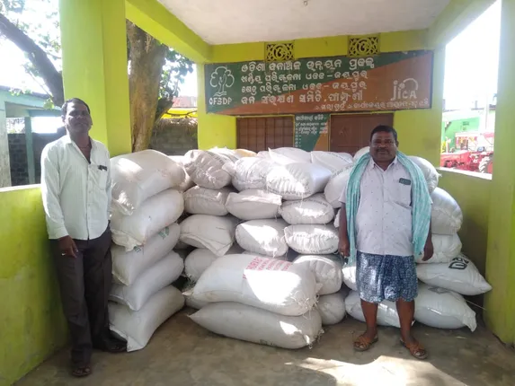 ୧୩ଦିନ ପରେ ଜୋର ଧରିଲା ମଣ୍ଡି: ୩୫ଟି ମଣ୍ଡିରୁ ୬୫ହଜାର ୭୧୨କୁଇଣ୍ଟାଲ ଧାନ କିଣାଗଲା