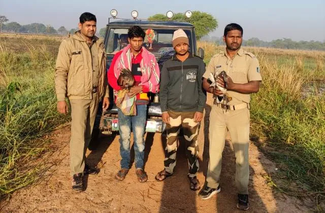 ହୀରାକୁଦ ଜଳଭଣ୍ଡାରରୁ ଦୁଇ ପକ୍ଷୀ ଉଦ୍ଧାର, ଶିକାରୀ ଗିରଫ