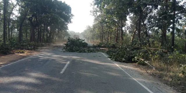 ଗଛ ପକାଇ ରାସ୍ତା ଅବରୋଧ କଲେ ମାଓବାଦୀ