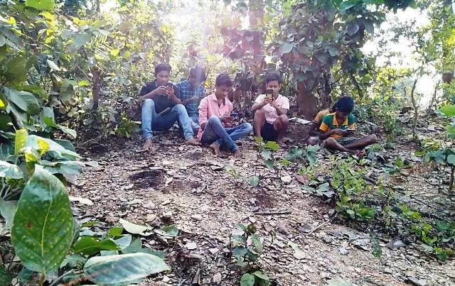 ଦେବଗଡ଼ : ଅନ୍‌ଲାଇନ୍‌ କ୍ଲାସ୍‌ ପାଇଁ ଗଛରେ ଚଢ଼ି ନେଟ୍‌ୱର୍କ ଖୋଜୁଛନ୍ତି ଛାତ୍ରଛାତ୍ରୀ