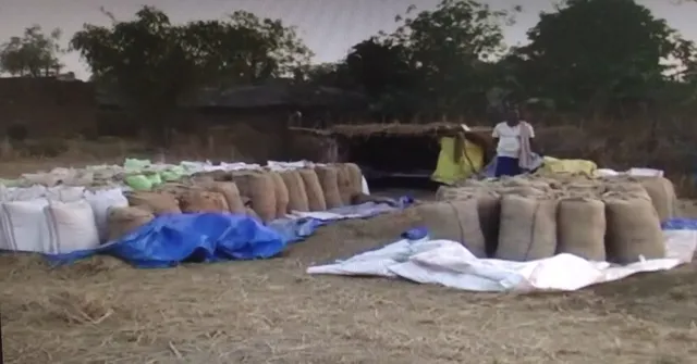 ଧାନ ଯନ୍ତ୍ରଣା : ଟୋକନ୍‌ ଆସିଛି, ହେଲେ କିଣା‌ଯାଉନି