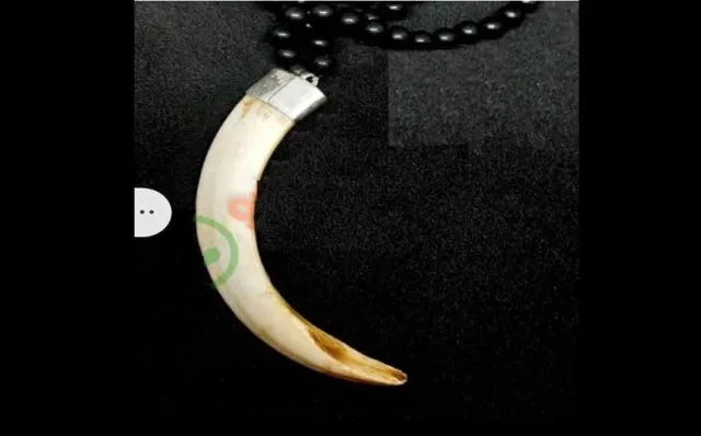 ଅନଲାଇନ୍‌ରେ ବେଧଡ଼କ ବିକ୍ରି ହେଉଛି ବାର୍‌ହା ଦାନ୍ତ