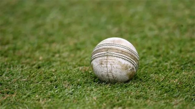 ବିଜୟ ହଜାରେ ଟ୍ରଫି: ଓଡ଼ିଶାର ତୃତୀୟ ପରାଜୟ, ଶୁଭ୍ରା˚ଶୁ ଓ ଅଙ୍କିତଙ୍କ ଅର୍ଦ୍ଧଶତକ ବେକାର