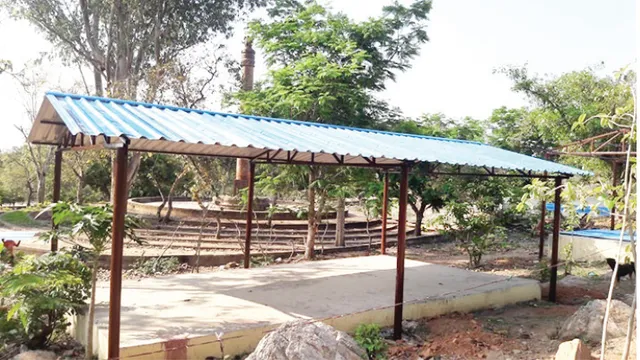 ଧଉଳିରେ ଭୋଜି ପାଇଁ ଅନୁମତି ନାହିଁ: ପିଣ୍ଡି ଖାଁ ଖାଁ, ୪ ହଜାର ଟପୁନି ପର୍ଯ୍ୟଟକ ସଂଖ୍ୟା