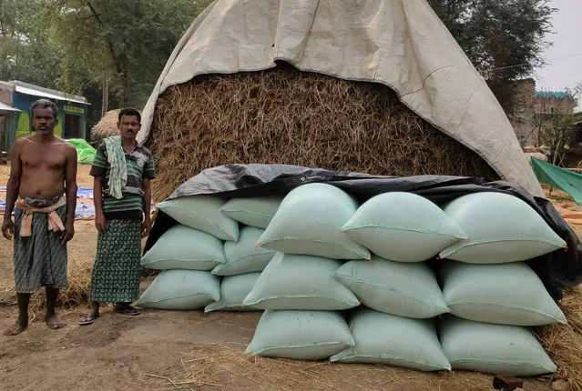 ଖୋଲା ଆକାଶ ତ‌ଳେ ଖଳାରେ ଧାନ : ଆସୁନି ଟାର୍ଗେଟ୍, ଟୋକନ୍ ଥାଇ ବି ଧାନ ବିକିପାରୁନି ଚାଷୀ