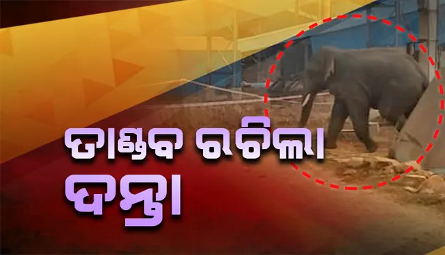ଦୀର୍ଘ ସମୟ ଧରି କଂପାନି ପରିସରରେ ତାଣ୍ଡବ ରଚିଲା ଦନ୍ତା, ଶ୍ରମିକ ଆତଙ୍କିତ