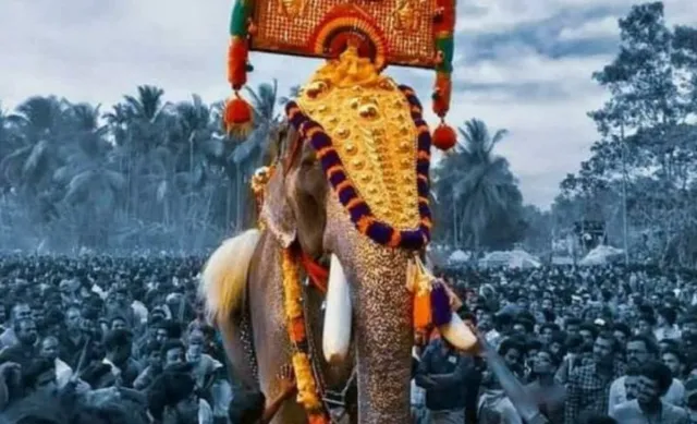 ହୃଦଘାତରେ ଚାଲିଗଲା ଫିଲ୍ମି ହାତୀର ଜୀବନ, ଅନେକ ବିଜ୍ଞାପନ ଓ ଫିଲ୍ମରେ ନଜର ଆସିଥିଲା ଏହି ଗଜରାଜ