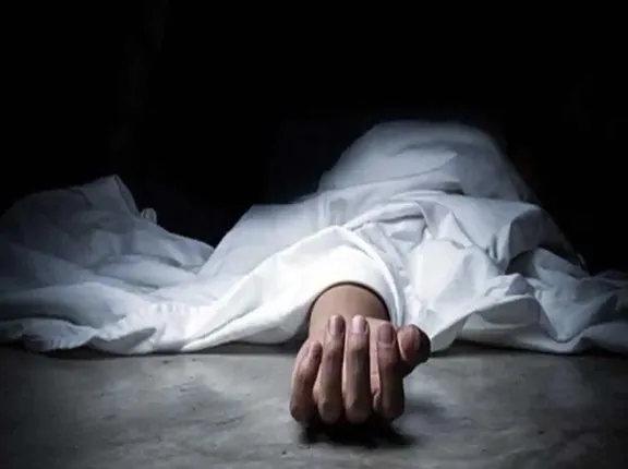 ନିର୍ମାଣାଧୀନ ହାତୀ ଚଲାପଥ ସୁଡ଼ଙ୍ଗ ଗାତରେ ପଡ଼ି ବୃଦ୍ଧ ମୃତ  