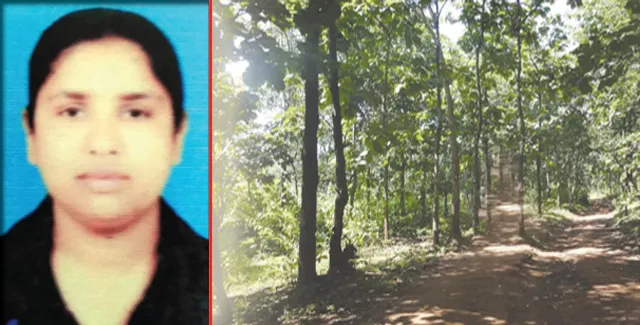 ଜଙ୍ଗଲ ଇଲାକାରେ ଗଢ଼ିଛନ୍ତି ୭୦ ମହିଳା ଗୋଷ୍ଠୀ