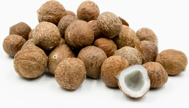 ବିଶ୍ବର ସବୁଠାରୁ ଛୋଟ ନଡ଼ିଆ