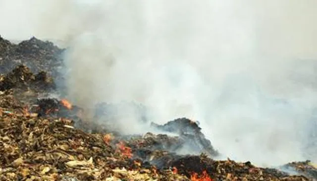 ଜଳୁଛି ଦାରୁଠେଙ୍ଗ ଡମ୍ପିଂୟାର୍ଡ