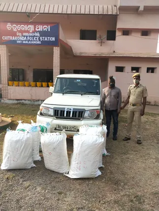 କୋଡିଏ ଲକ୍ଷ ଟଙ୍କାରୁ ଉର୍ଦ୍ଧ୍ବ ଗଂଜେଇ ଜବତ, ବୋଲେରୋ ସମେତ ଜଣେ ଗିରଫ