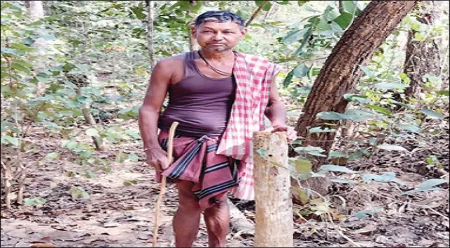 କୋଟି କୋଟି ଟଙ୍କା ବର୍‌ବାଦ୍‌: ଫେଲ୍‌ ମାରିଛି ଜଗନ୍ନାଥ ବନ ପ୍ରକଳ୍ପ