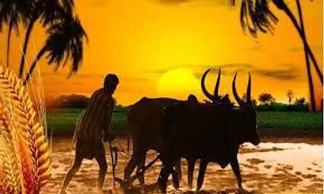 ଓଡ଼ିଶା ଚାଷୀଙ୍କ ମାସିକ ହାରାହାରି ଆୟ ୫, ୧୧୨ ଟଙ୍କା; ଦେଶରେ ଦ୍ୱିତୀୟ ସର୍ବନିମ୍ନ