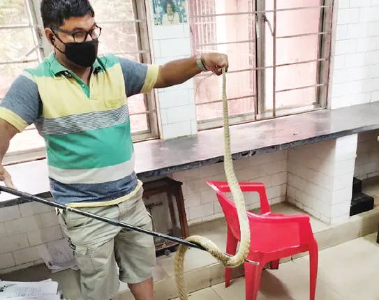 କ୍ୟାପିଟାଲ ହସ୍ପିଟାଲ ବ୍ଲଡ୍‌ବ୍ୟାଙ୍କରେ ସାପ